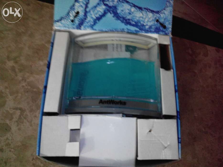 Formigueiro - artworks com iluminação