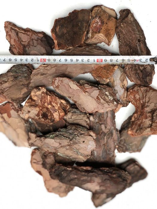 Кора соснова від виробника