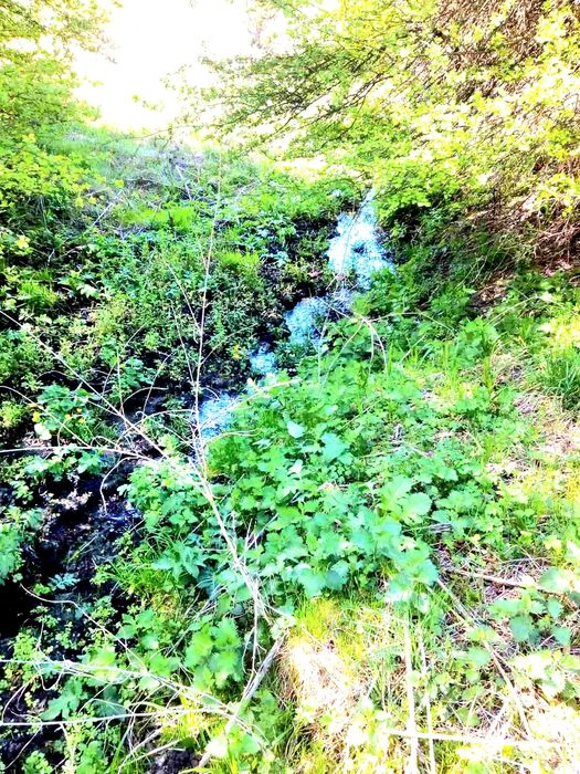 Продається земельна ділянка 4Га в селі Стрілки