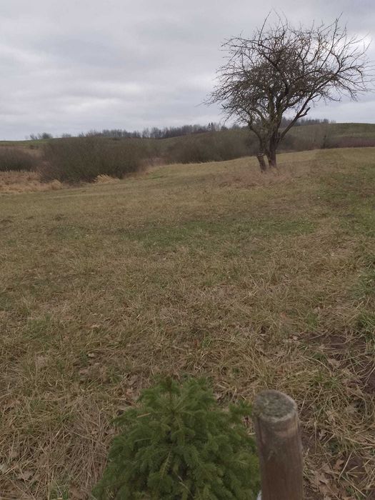 sprzedam ziemie orną