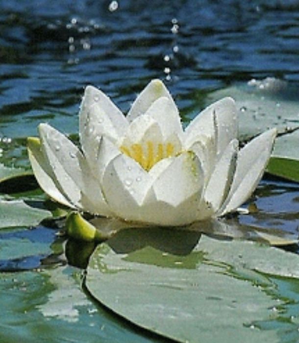 Massagens de relaxamento profundo