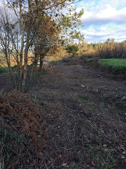 Terreno rústico a face da estrada. 5300 m2 em Cortinhas.