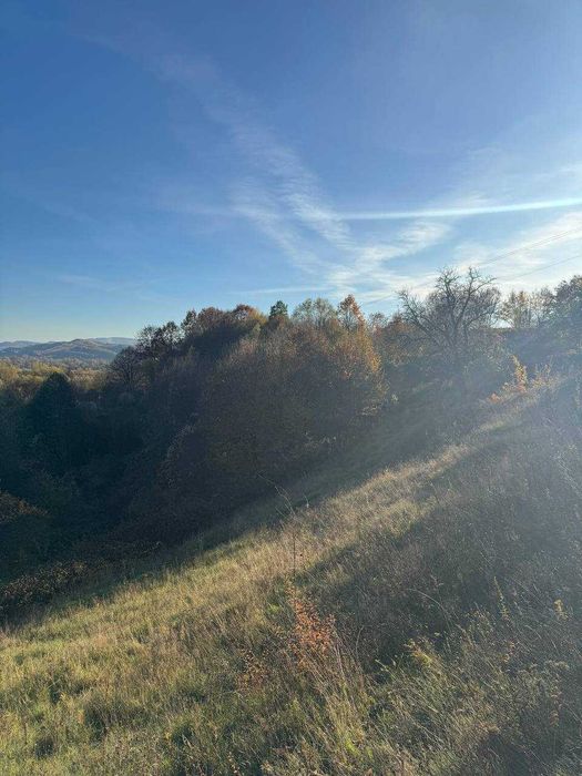 Продам унікальну ділянку зі ставком с. Грушово (Закарпаття) 0,48 га.