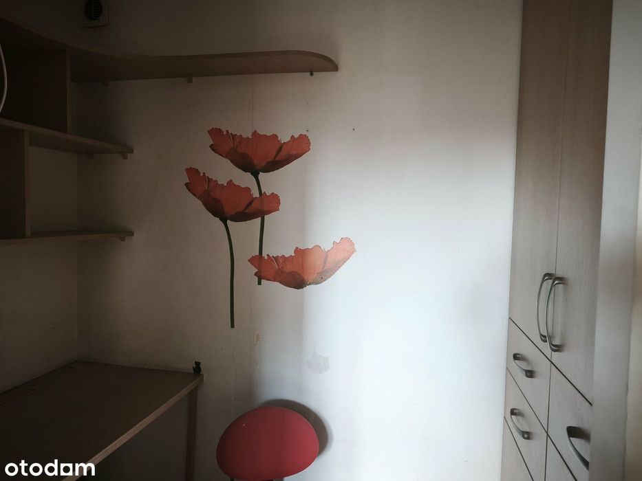 Zdjęcie 7