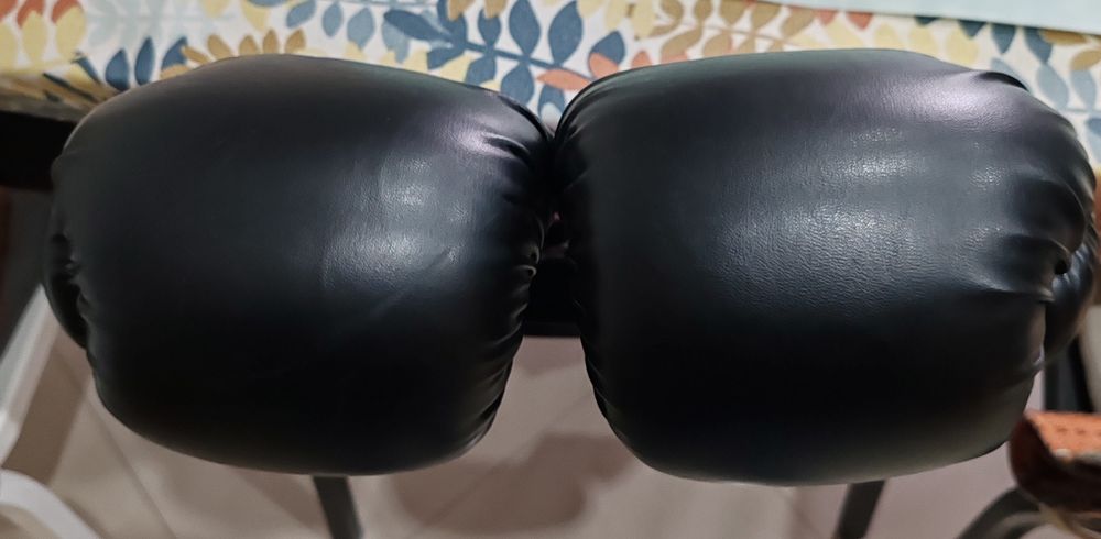 Leone 1947 Ambassador