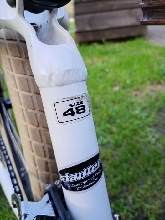 Rower MTB BULLS Wild Beast Sport AM