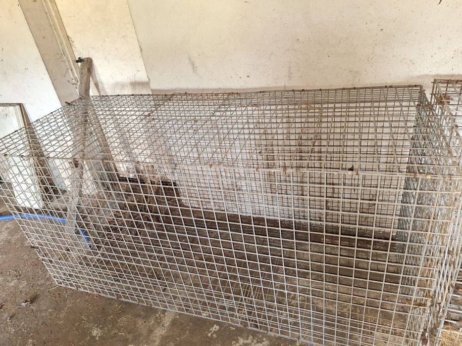 Klatka solidna duża