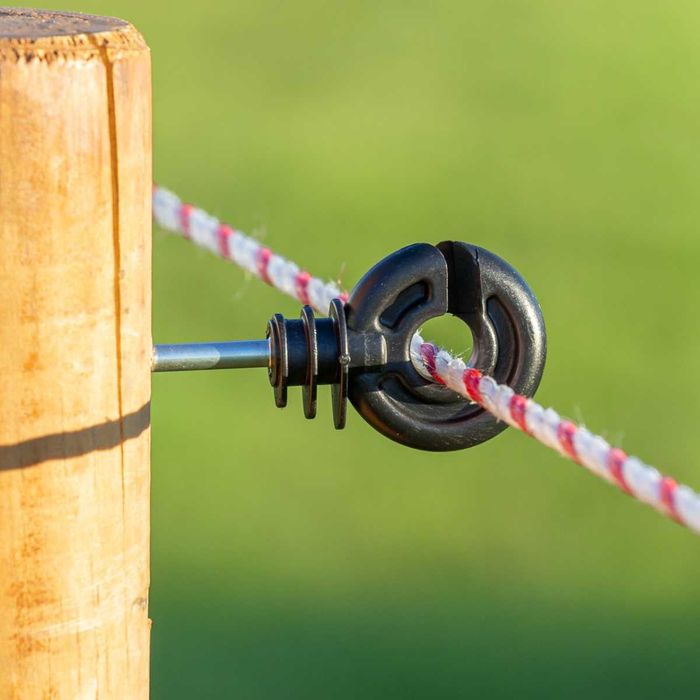 Izolator okrągły do plecionek i drutu BASIC, opakowanie 50 szt, Kerbl