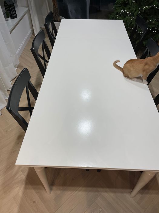 Stół Rosentorp Ikea