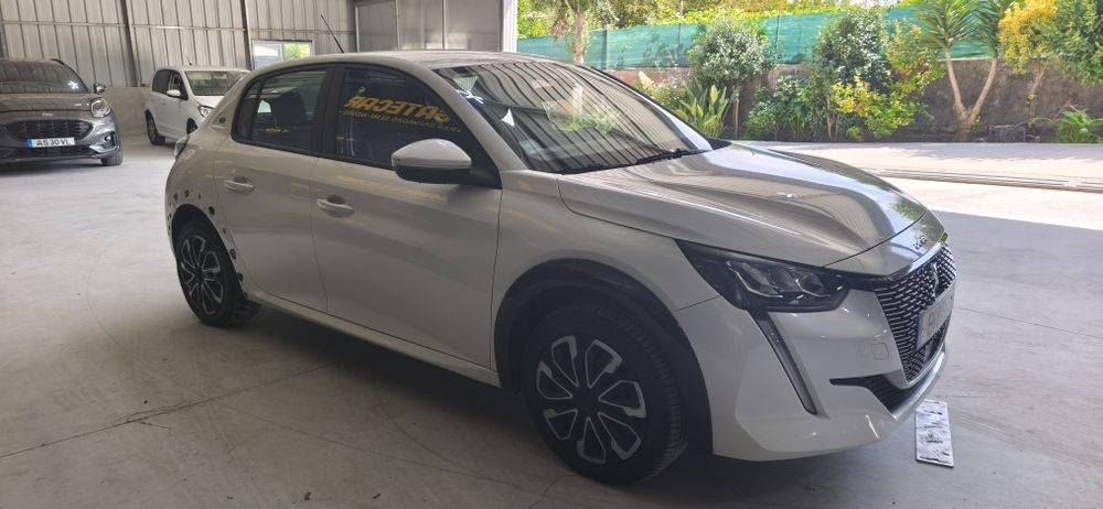 Peugeot 208 elétrico salvado