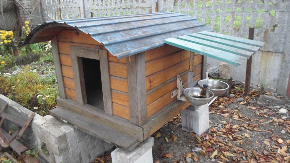 Собачья будка подороже и подешевле