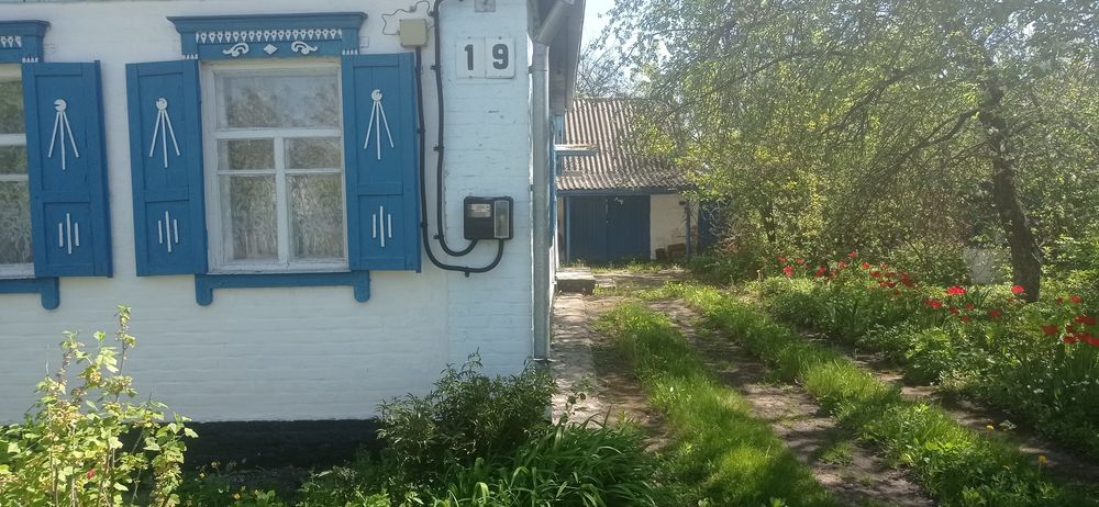 Продам будинок с.Гаркушинці