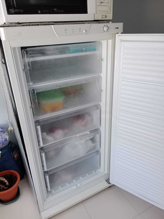 Arca  congeladora vertival