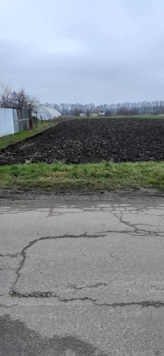 Продається земельна ділянка площею 0,2503 га с. Вергуни Черк.обл.