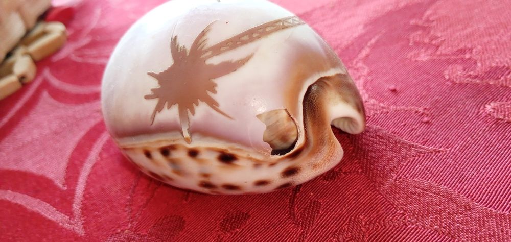 OPassado volta abrir no Presente-Abre cartas SolingenVintage8EB2desde2