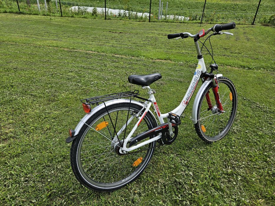 Rower Pegasus 26"