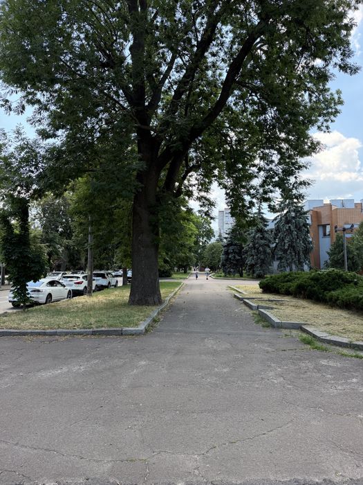 Здам фасадне приміщення на 1му поверсі в центрі міста! вул. Хрещатик - View 2