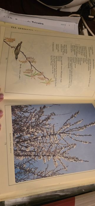 Livro sobre Borboletas e Jardim