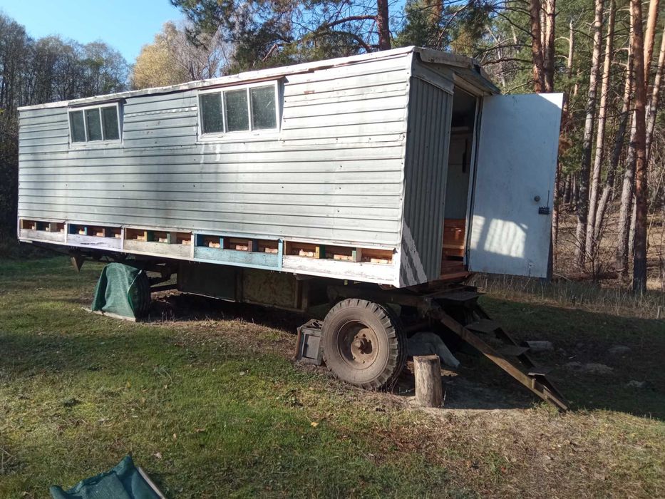 Бджолопавільйон на 30 сімей