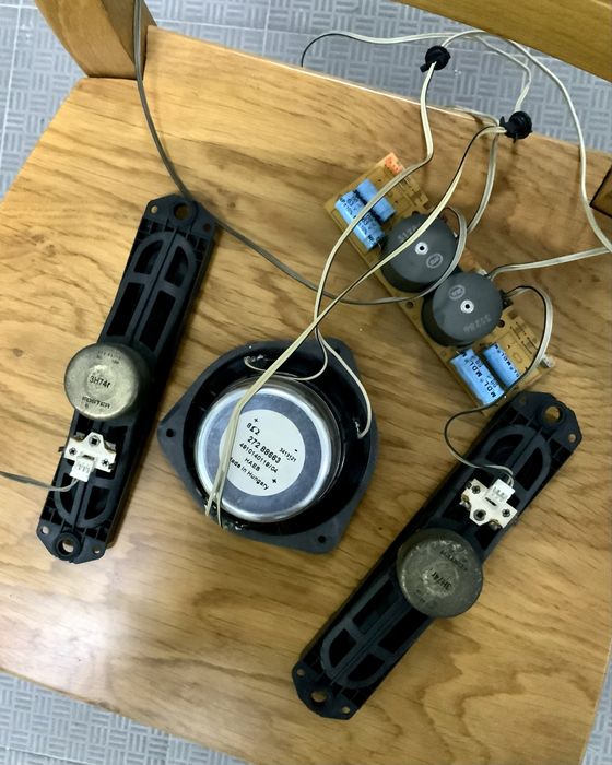 Lote de altifalantes HAES e Foster + componentes eletrónicos de TV Loewe