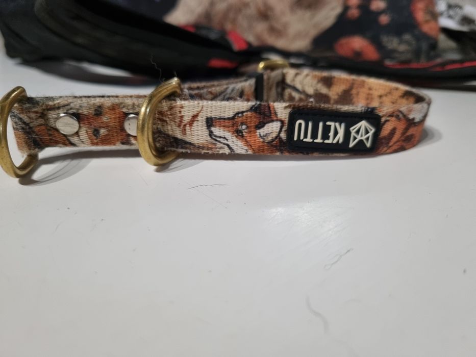 Obroża Kentucky lisy S