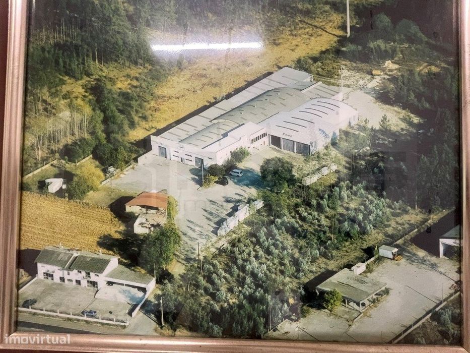 Propriedade Industrial / Pavilhão industrial - Anadia