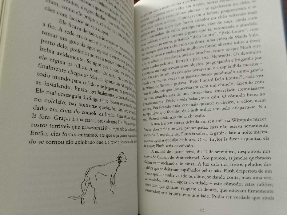 Virginia Woolf - Flush, uma biografia