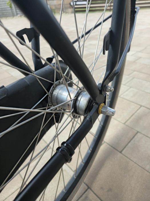 Holenderka Cortina L4