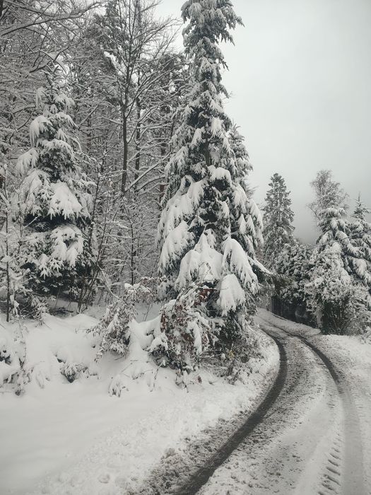 Dom w górach, noclegi