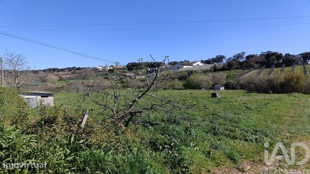 Terreno em Cela de 1585,00 m2