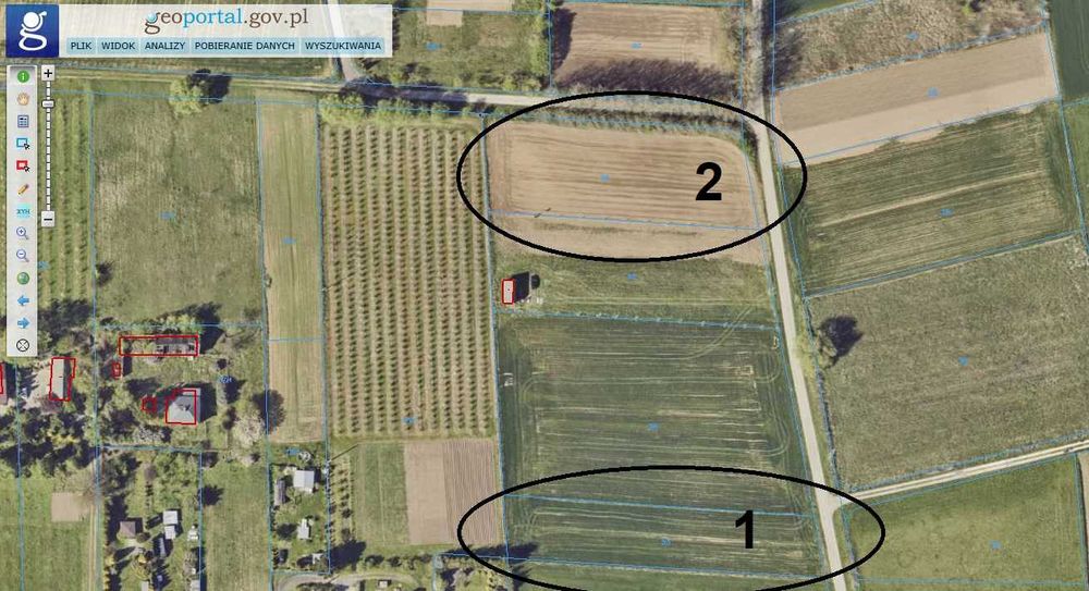 Sprzedam działki w Sandomierzu ul. Lipowa (ponad 19 i 26 arów)
