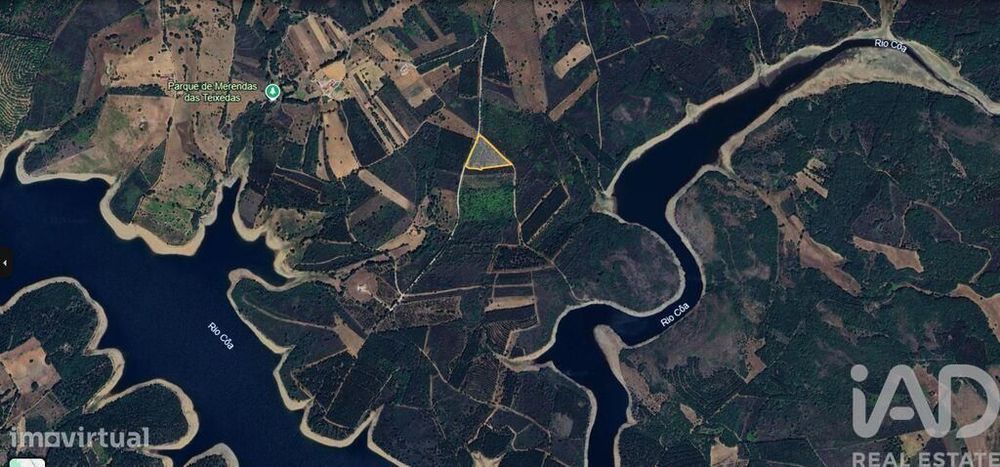 Terreno Agrícola em Sabugal e Aldeia de Santo António