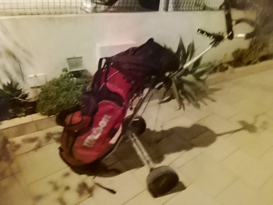 Carrinho de golfe ,mais saco de golfe mais ,14 tacos mais, 40bolas golfe