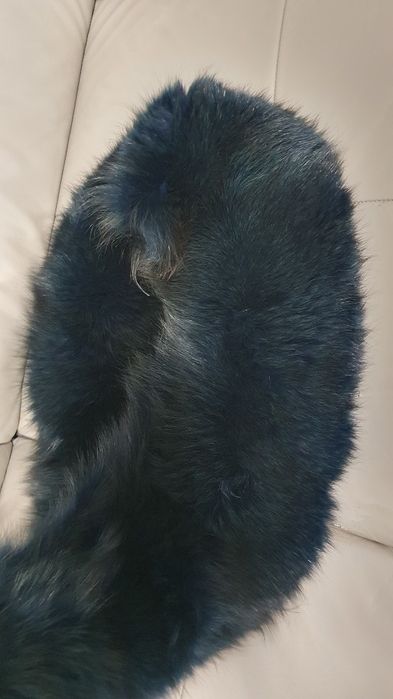 Kołnierz z lisa piekny