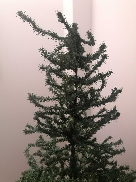 Árvore de natal usada