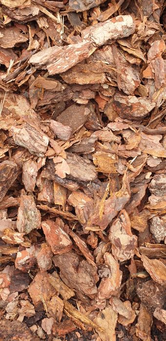 Kora sosnowa wysoka jakość dostawy gratis juz od 30 szt