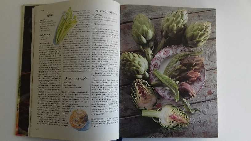 Livro culinária novo - "Alimentos Bons, Alimentos Perigosos"