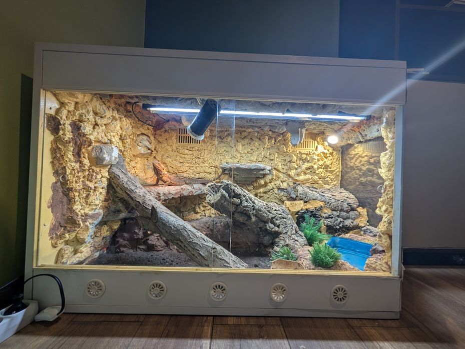 Terrarium 120x60x60 agama pustynne pustynia z wyposażeniem kryjówkami dla agamy brodatej basen z basenem, arcadia uxb 85cm wyspa grzewcza LED e27 39W