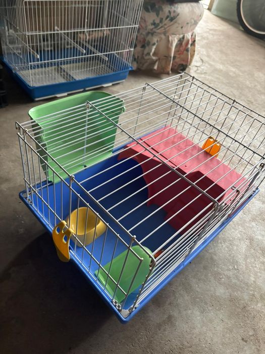 Gaiola Porquinho da India