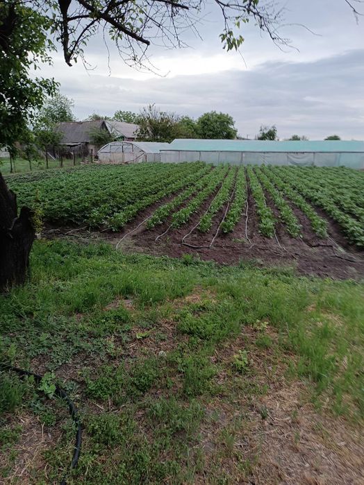 Продам частину будинку левый берег.