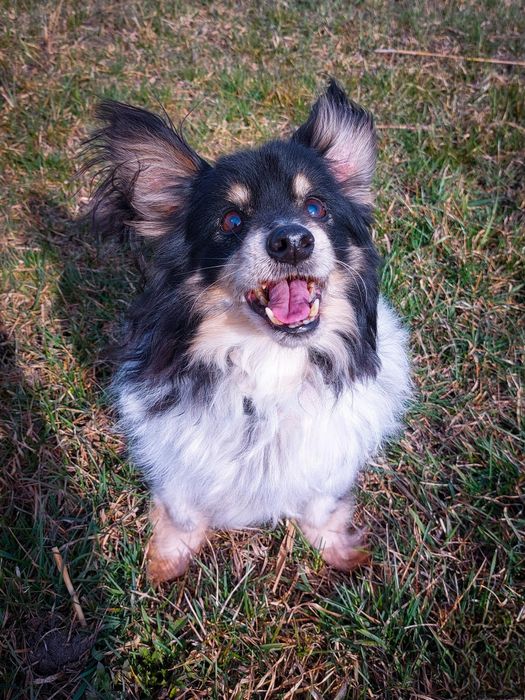 Naprawdę nikt ? PILNE