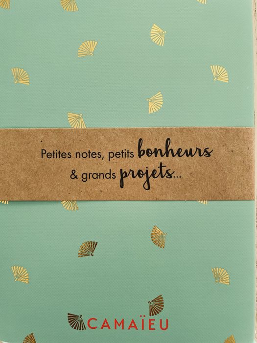 Набір записників - нотатників Camaïeu (made in France), 2 шт.