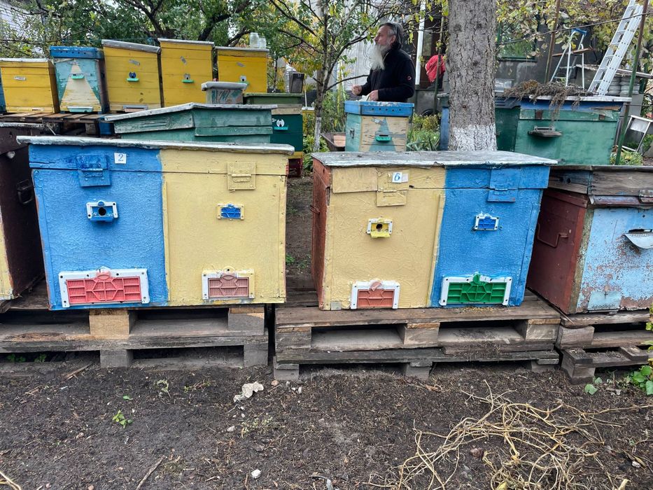 Продам улья для пчел
