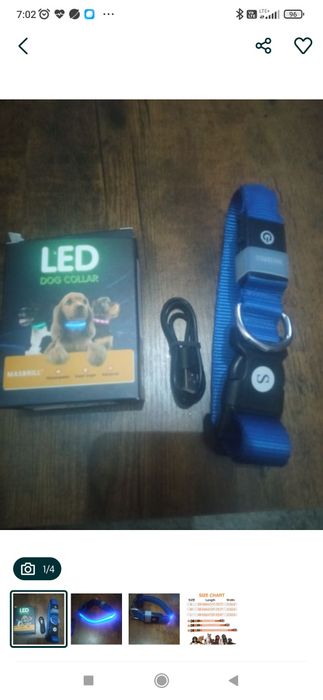 Obroża dla psa kota w rozmiarze S