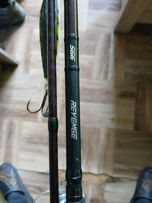 Spinning Savage Gear SG6