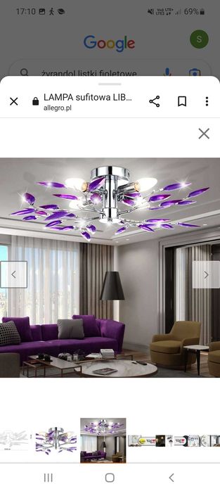 Zerandole 2 szt  listki