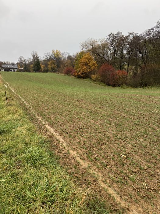 Dzialka rolna  35 arow