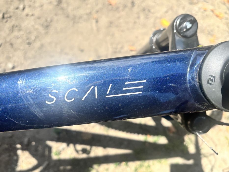 Rower scott scale 965 blue