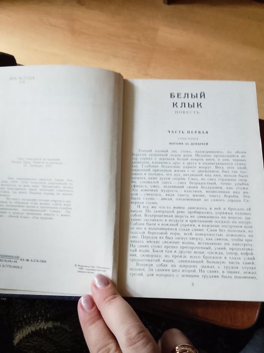 Продам кнішку лежат
