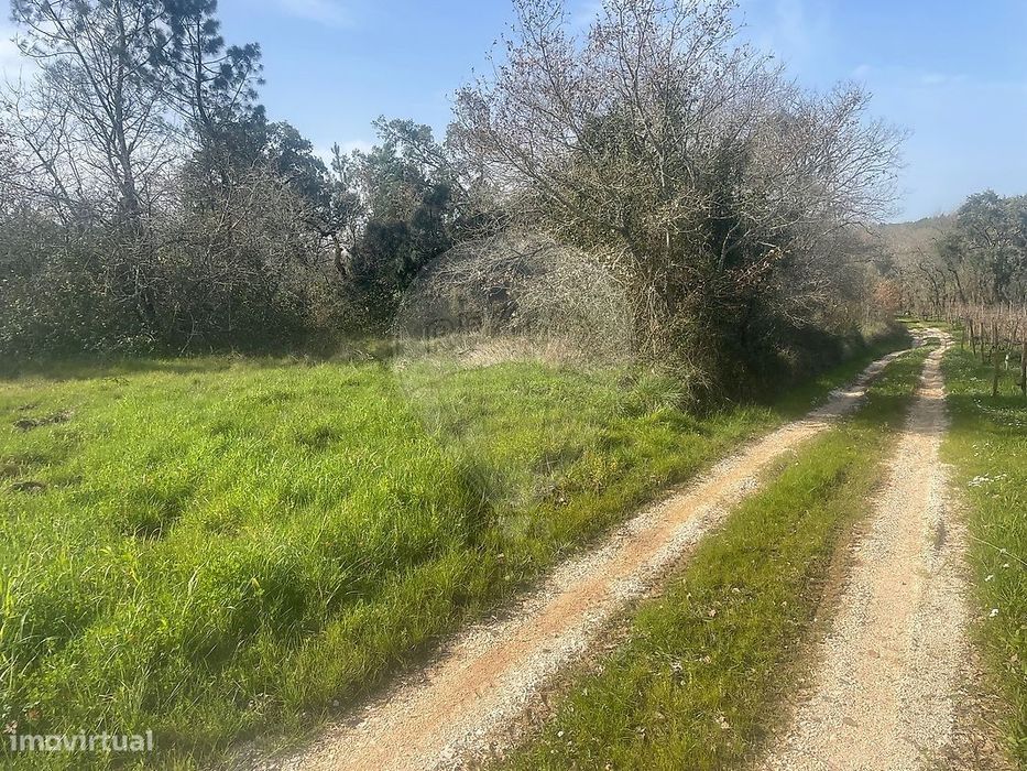 Terreno  para venda
